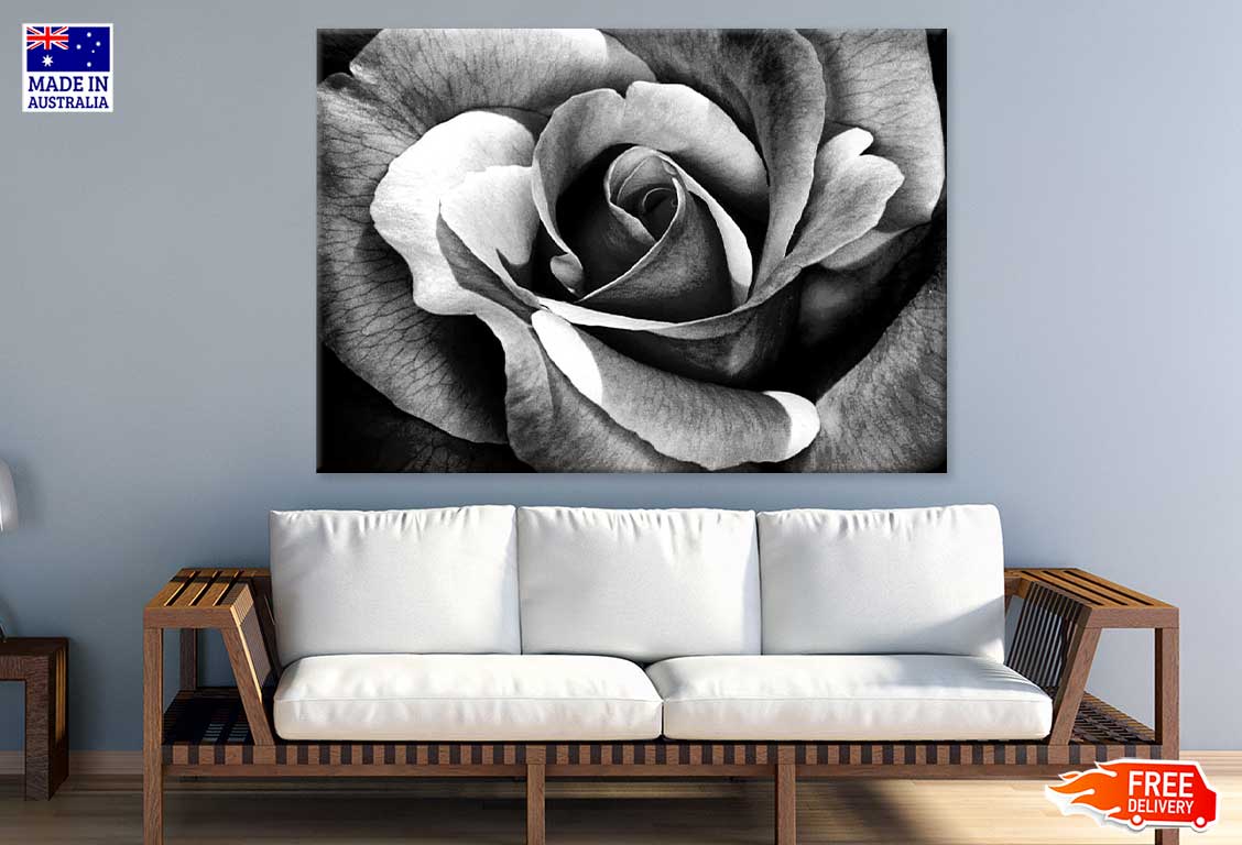 Rose Flower Petals B&W Photograph Print 100% Australian Made Stretched Canvas Ready to Hang - 1569