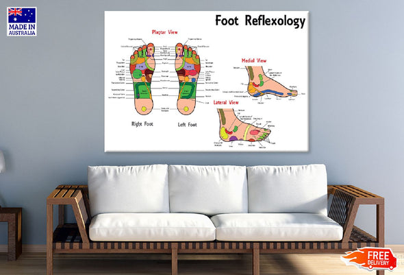 Foot Reflexology Vector Design Print 100% Australian Made Stretched Canvas Ready to Hang - 2404