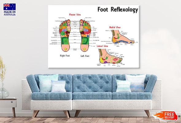 Foot Reflexology Vector Design Print 100% Australian Made Stretched Canvas Ready to Hang - 2404