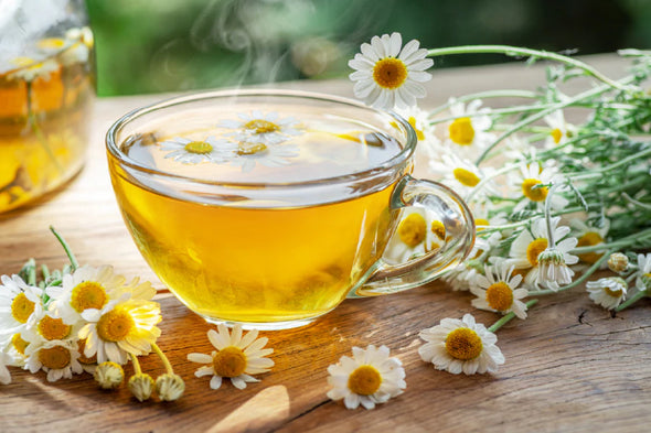 Chamomile Tea with Flower View Photograph Print 100% Australian Made Stretched Canvas Ready to Hang - 2002