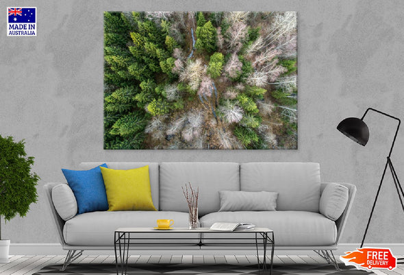 Spruce Trees Aerial Photograph Print 100% Australian Made Stretched Canvas Ready to Hang - 1681