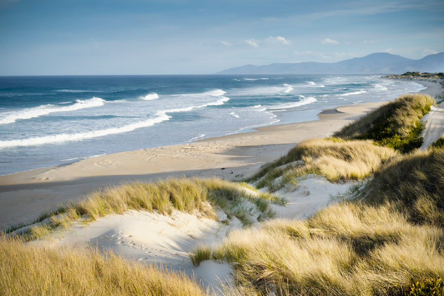 Beach Sand Dunes View Print 100% Australian Made Stretched Canvas Ready to Hang - 1352