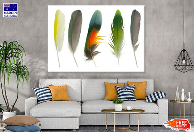 Colorful Feathers Digital Art Design Print 100% Australian Made Stretched Canvas Ready to Hang - 1903