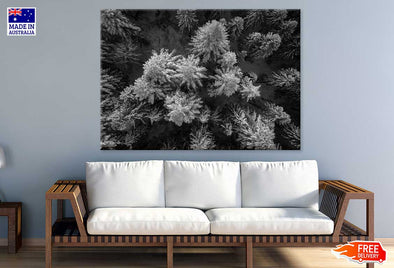 Pine Branch View B&W Photograph Print 100% Australian Made Stretched Canvas Ready to Hang - 1571