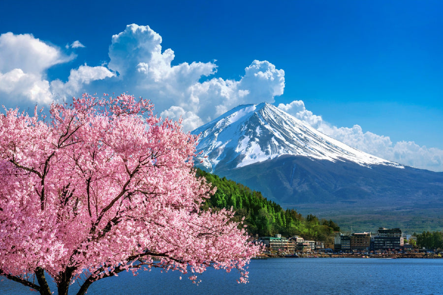 Fuji Mountain Cherry Blossom Tree Print 100% Australian Made Stretched Canvas Ready to Hang - 1700