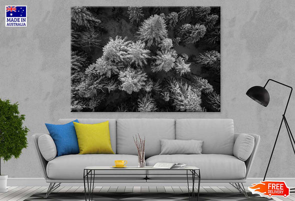 Pine Branch View B&W Photograph Print 100% Australian Made Stretched Canvas Ready to Hang - 1571