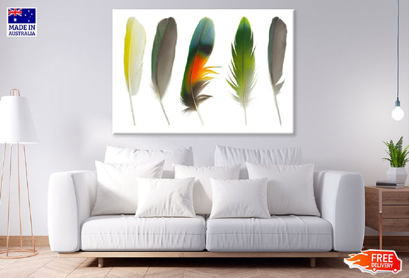 Colorful Feathers Digital Art Design Print 100% Australian Made Stretched Canvas Ready to Hang - 1903