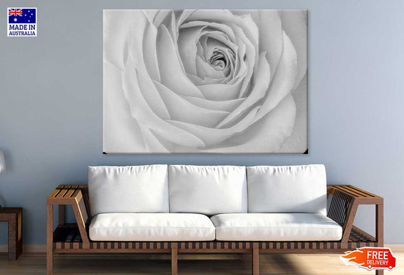 Rose Flower Closeup B&W View Print 100% Australian Made Stretched Canvas Ready to Hang - 1572