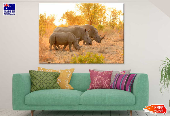 Rhinos in Forest View Photograph Print 100% Australian Made Stretched Canvas Ready to Hang - 1223