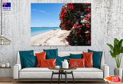 Red Flower Tree Near Sea View Print 100% Australian Made Stretched Canvas Ready to Hang - 1371