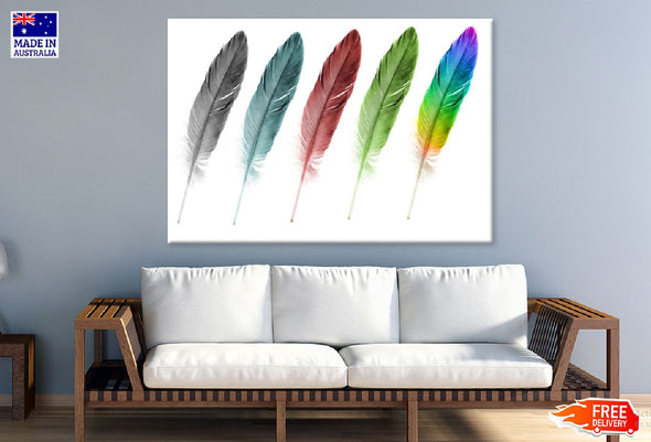 Colourful Feathers Painting Print 100% Australian Made Stretched Canvas Ready to Hang - 1905