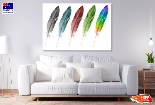 Colourful Feathers Painting Print 100% Australian Made Stretched Canvas Ready to Hang - 1905