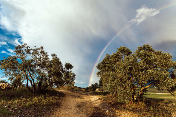 Countryside & Rainbow Sky Spain Print 100% Australian Made Stretched Canvas Ready to Hang - 1024