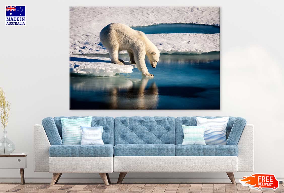 Polar Bear on Melting Ice Cap Print 100% Australian Made Stretched Canvas Ready to Hang - 1224