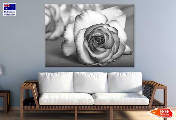 Rose Flower View B&W Photograph Print 100% Australian Made Stretched Canvas Ready to Hang - 1573