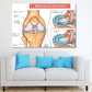 Meniscus Anatomy Vector Illustration Print 100% Australian Made Stretched Canvas Ready to Hang - 2407