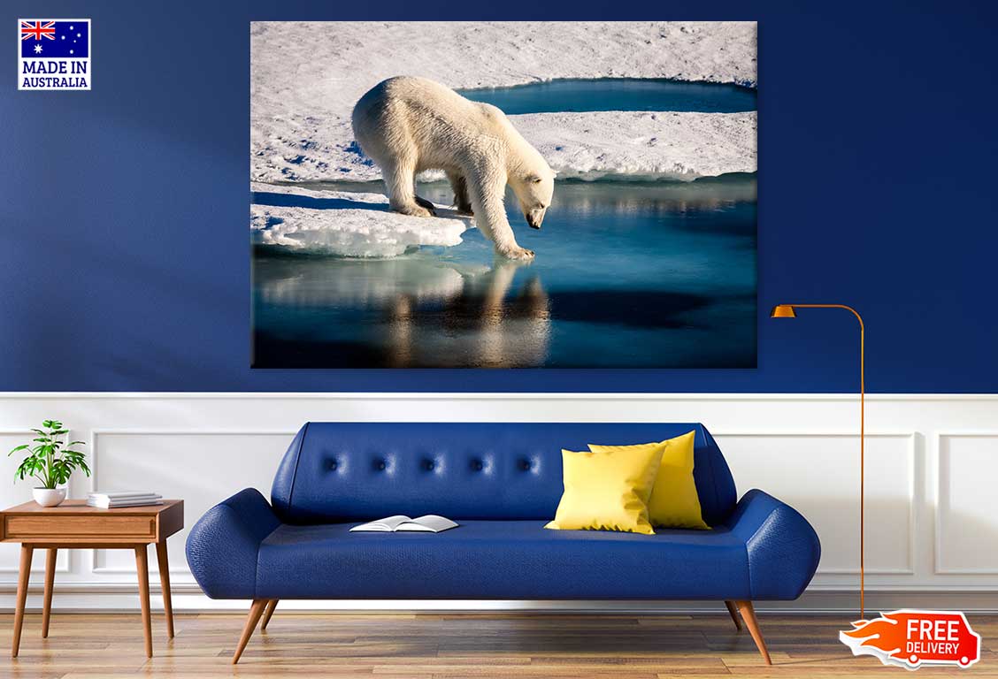 Polar Bear on Melting Ice Cap Print 100% Australian Made Stretched Canvas Ready to Hang - 1224