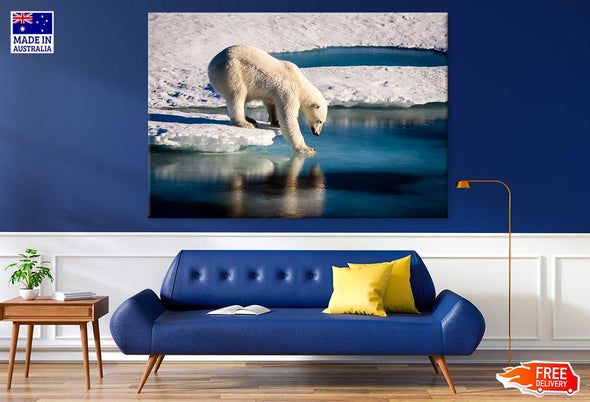 Polar Bear on Melting Ice Cap Print 100% Australian Made Stretched Canvas Ready to Hang - 1224