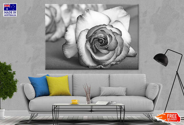 Rose Flower View B&W Photograph Print 100% Australian Made Stretched Canvas Ready to Hang - 1573