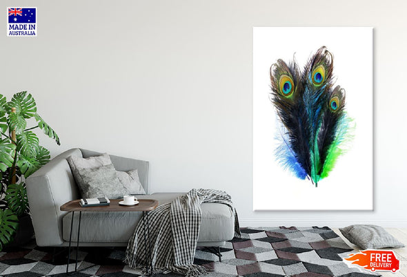 Peacock Feathers Watercolor Painting  Print 100% Australian Made Stretched Canvas Ready to Hang - 1979