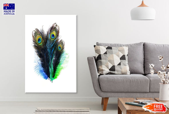 Peacock Feathers Watercolor Painting  Print 100% Australian Made Stretched Canvas Ready to Hang - 1979