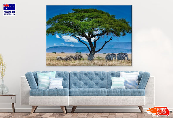 Group of Elephants Big Green Tree Print 100% Australian Made Stretched Canvas Ready to Hang - 1704