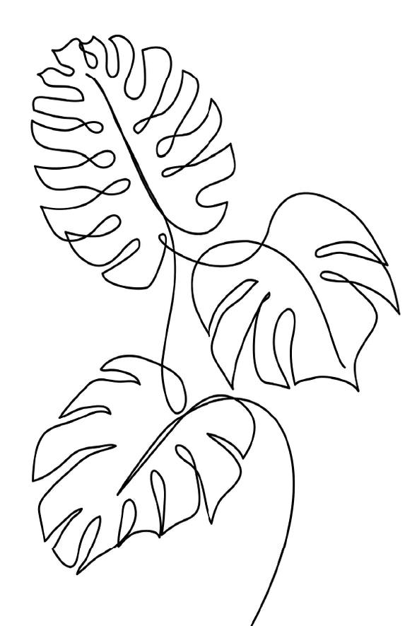 Leaves B&W Line Art Design Print 100% Australian Made Stretched Canvas Ready to Hang - 1806