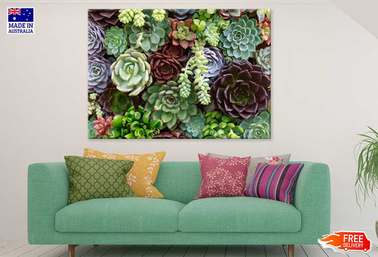 Succulent & Flower Garden View Print 100% Australian Made Stretched Canvas Ready to Hang - 1575