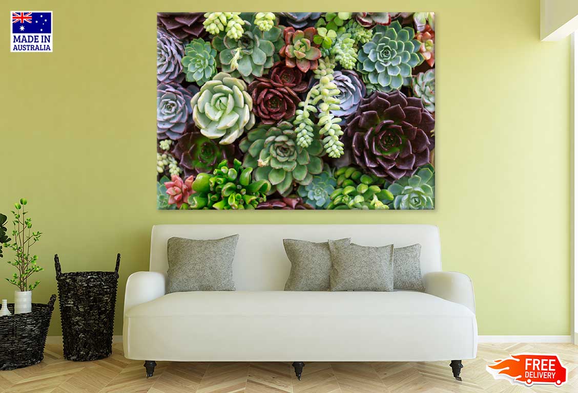 Succulent & Flower Garden View Print 100% Australian Made Stretched Canvas Ready to Hang - 1575