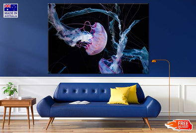 Pink Jellyfish View Photograph Print 100% Australian Made Stretched Canvas Ready to Hang - 1226