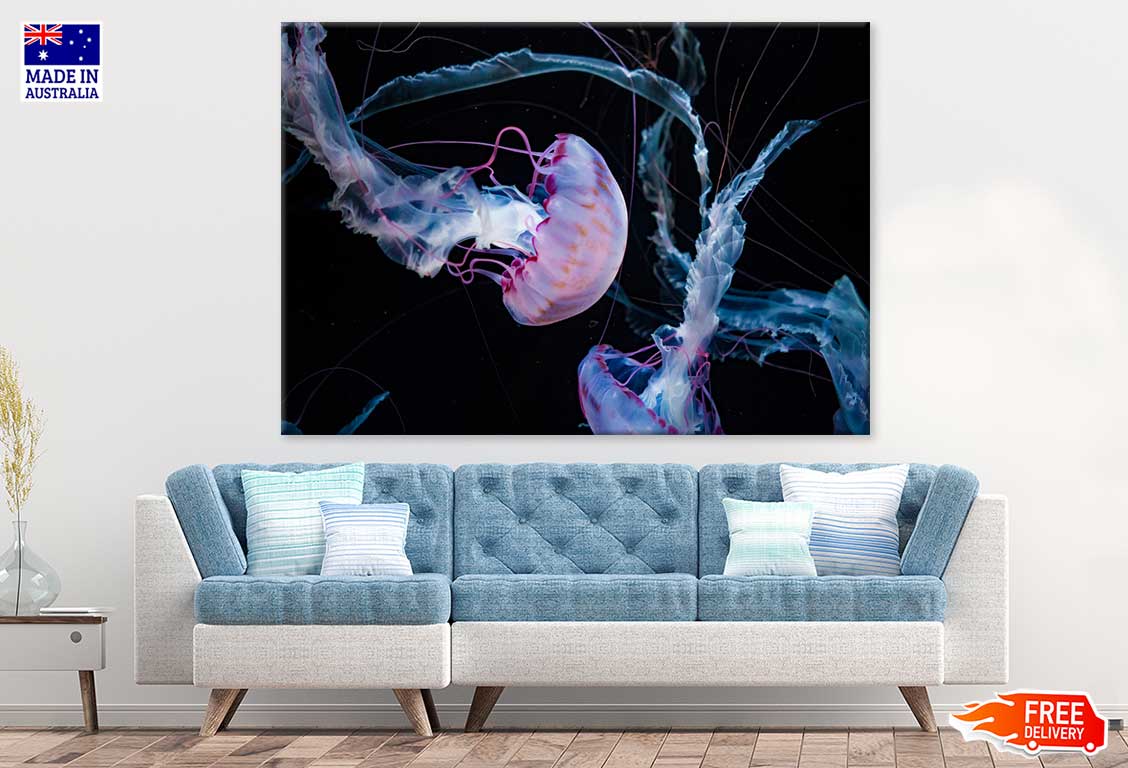 Pink Jellyfish View Photograph Print 100% Australian Made Stretched Canvas Ready to Hang - 1226