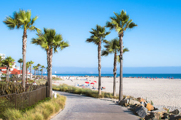 Beach & Palm Trees Photograph Print 100% Australian Made Stretched Canvas Ready to Hang - 1705