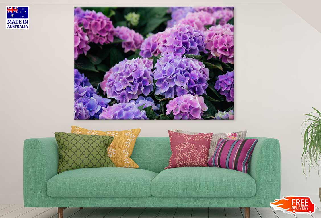 Pink Purple Hydrangea Flowers Print 100% Australian Made Stretched Canvas Ready to Hang - 1576