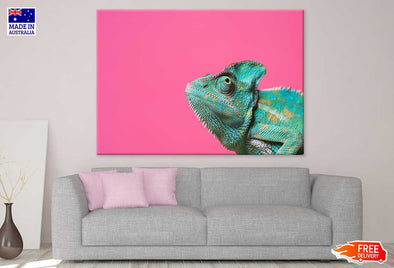 Colorful Chameleon Closeup View Print 100% Australian Made Stretched Canvas Ready to Hang - 1227