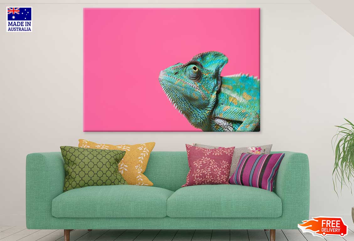 Colorful Chameleon Closeup View Print 100% Australian Made Stretched Canvas Ready to Hang - 1227