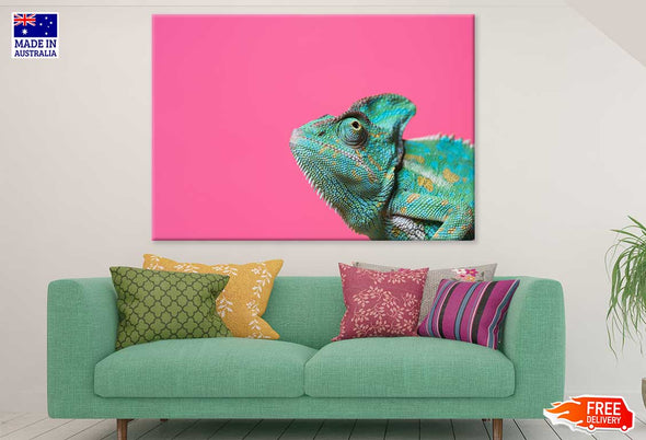 Colorful Chameleon Closeup View Print 100% Australian Made Stretched Canvas Ready to Hang - 1227