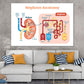 Nephron Anatomy Vector Illustration Print 100% Australian Made Stretched Canvas Ready to Hang - 2410