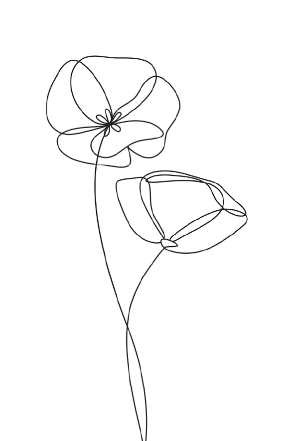 Flowers B&W Line Art Design Print 100% Australian Made Stretched Canvas Ready to Hang - 1808