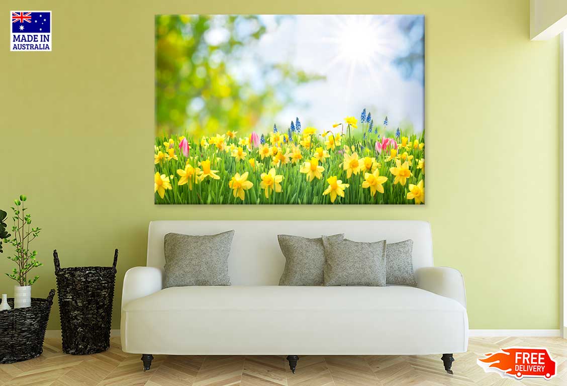 Yellow Daffodil Flowers View Print 100% Australian Made Stretched Canvas Ready to Hang - 1577