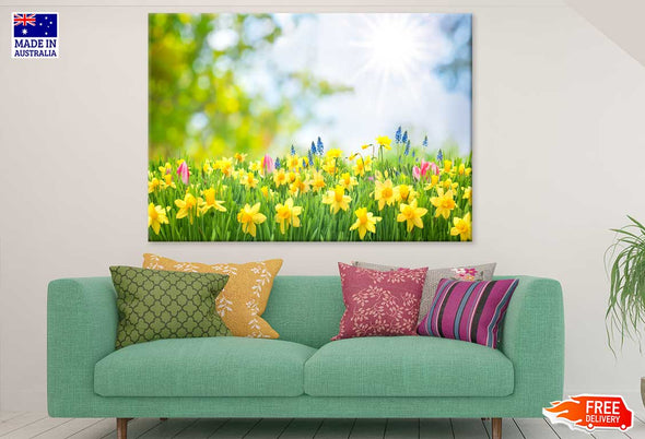 Yellow Daffodil Flowers View Print 100% Australian Made Stretched Canvas Ready to Hang - 1577