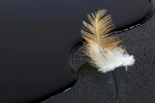 Feather Near Water Photograph Print 100% Australian Made Stretched Canvas Ready to Hang - 1909