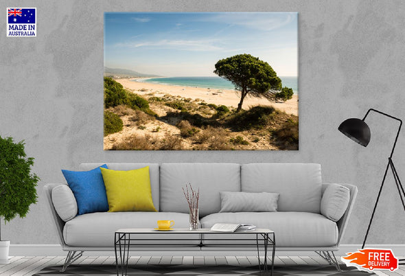 Tree Near Sea View Photograph Print 100% Australian Made Stretched Canvas Ready to Hang - 1707