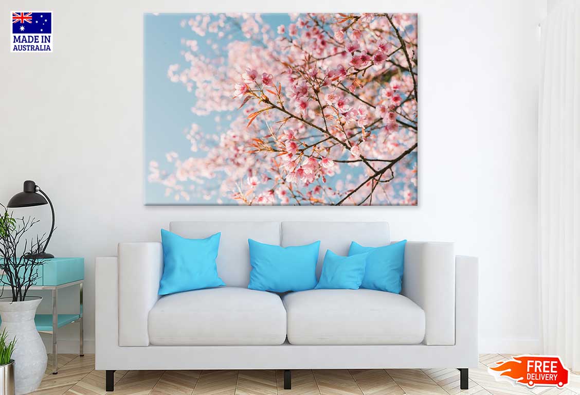 Pink Cherry Blossom Flowers View Print 100% Australian Made Stretched Canvas Ready to Hang - 1578