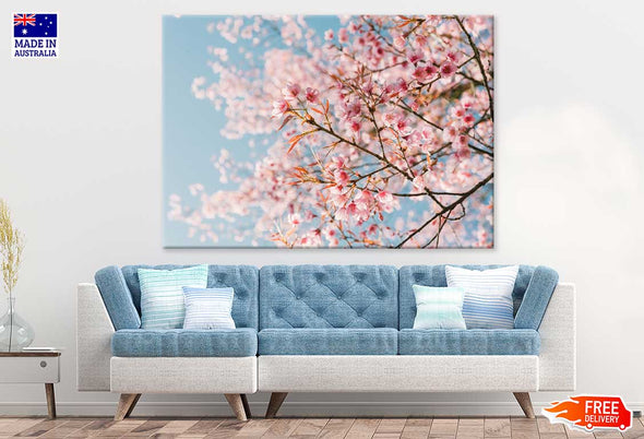 Pink Cherry Blossom Flowers View Print 100% Australian Made Stretched Canvas Ready to Hang - 1578