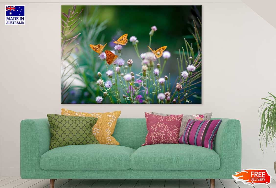 Butterflies on Flower Buds View Print 100% Australian Made Stretched Canvas Ready to Hang - 1579