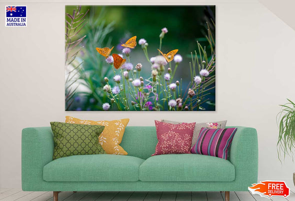 Butterflies on Flower Buds View Print 100% Australian Made Stretched Canvas Ready to Hang - 1579