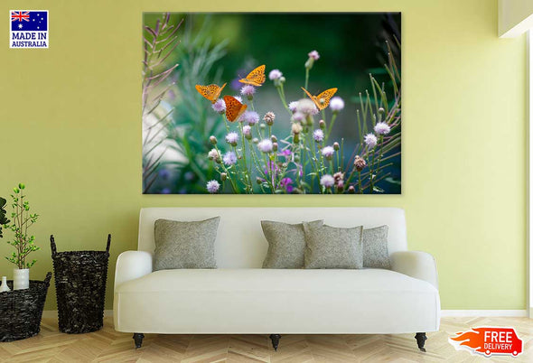 Butterflies on Flower Buds View Print 100% Australian Made Stretched Canvas Ready to Hang - 1579