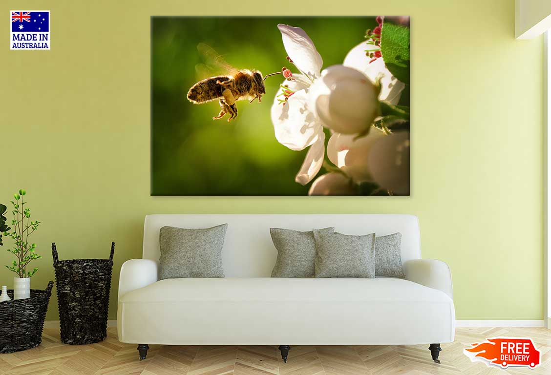 Bee on Flower View Photograph Print 100% Australian Made Stretched Canvas Ready to Hang - 1230