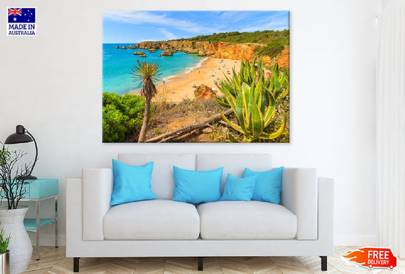 Tropical Plants on Cliff Rocks Print 100% Australian Made Stretched Canvas Ready to Hang - 1709