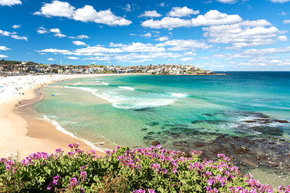 Bondi Beach Park View Photograph Print 100% Australian Made Stretched Canvas Ready to Hang - 1379